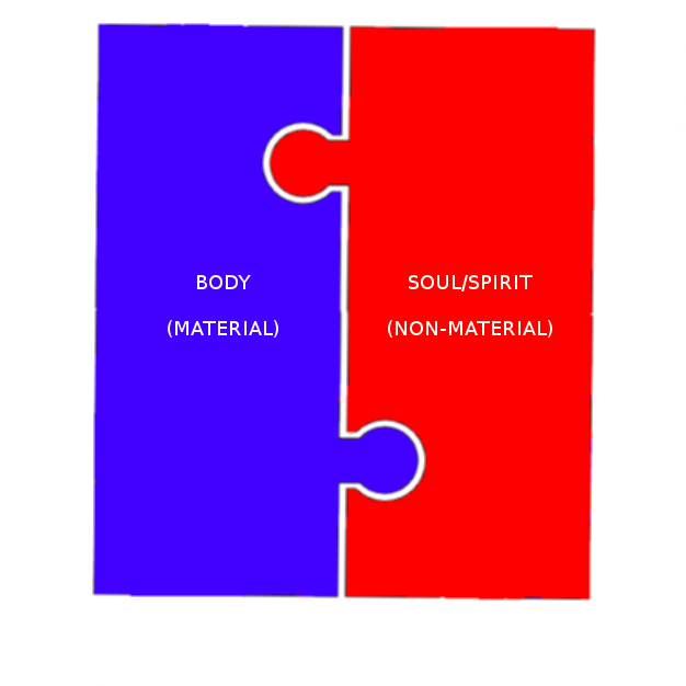 The psychosomatic unity can be pictured as two, interlocking puzzle pieces; one of which is the body and the other being the mind/soul/spirit. The two are distinct and can be separated (which occurs at death - see James 2:26), but are linked for the duration of a human being’s life.